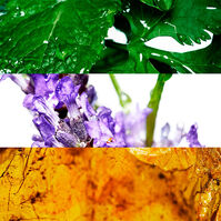 COOL WATER  125ml-66535 COOL WATER  125ml-66535 2